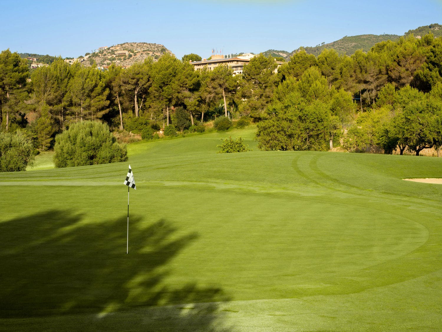 Golf Son Vida 