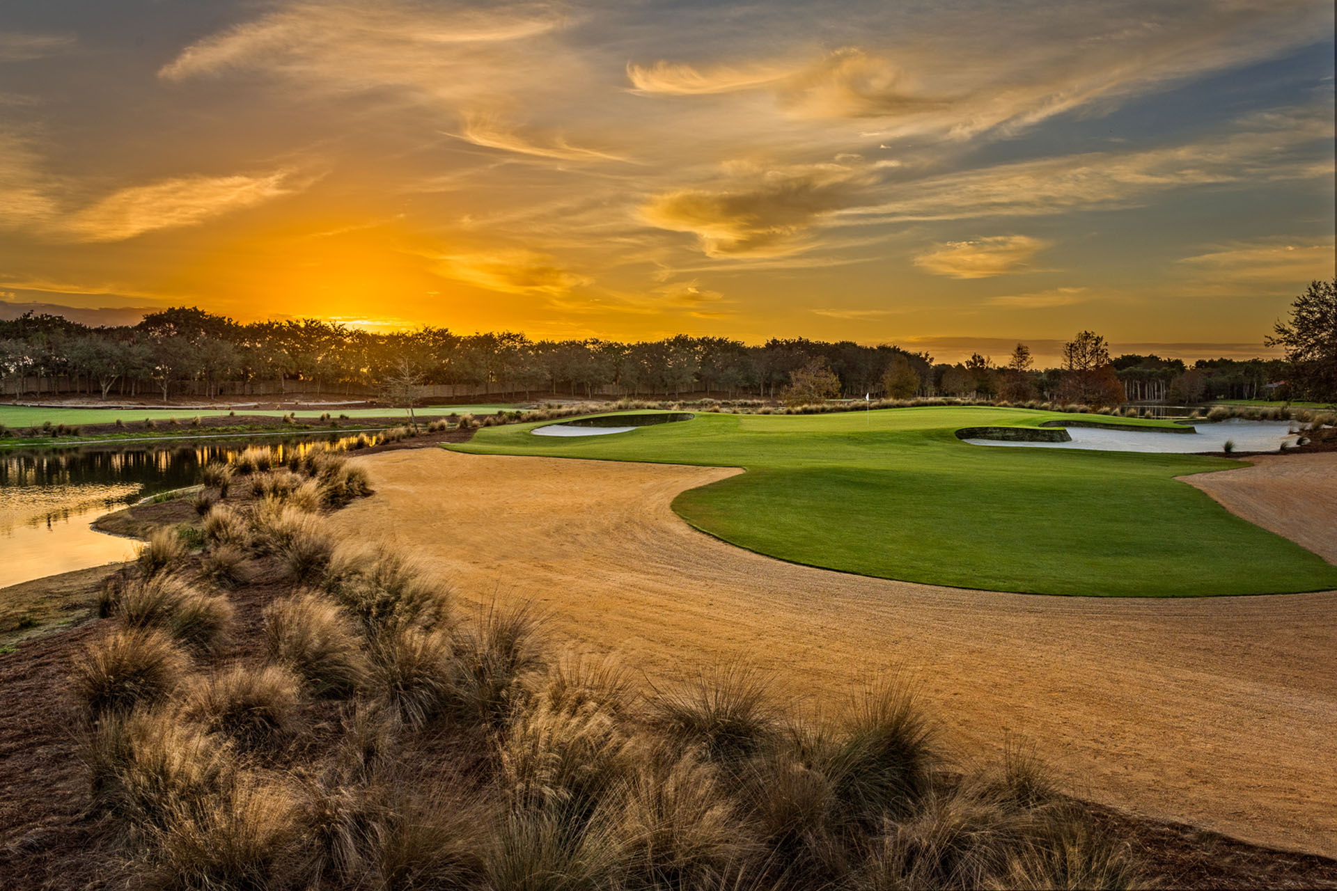 Tiburón Golf Club - Gold Course