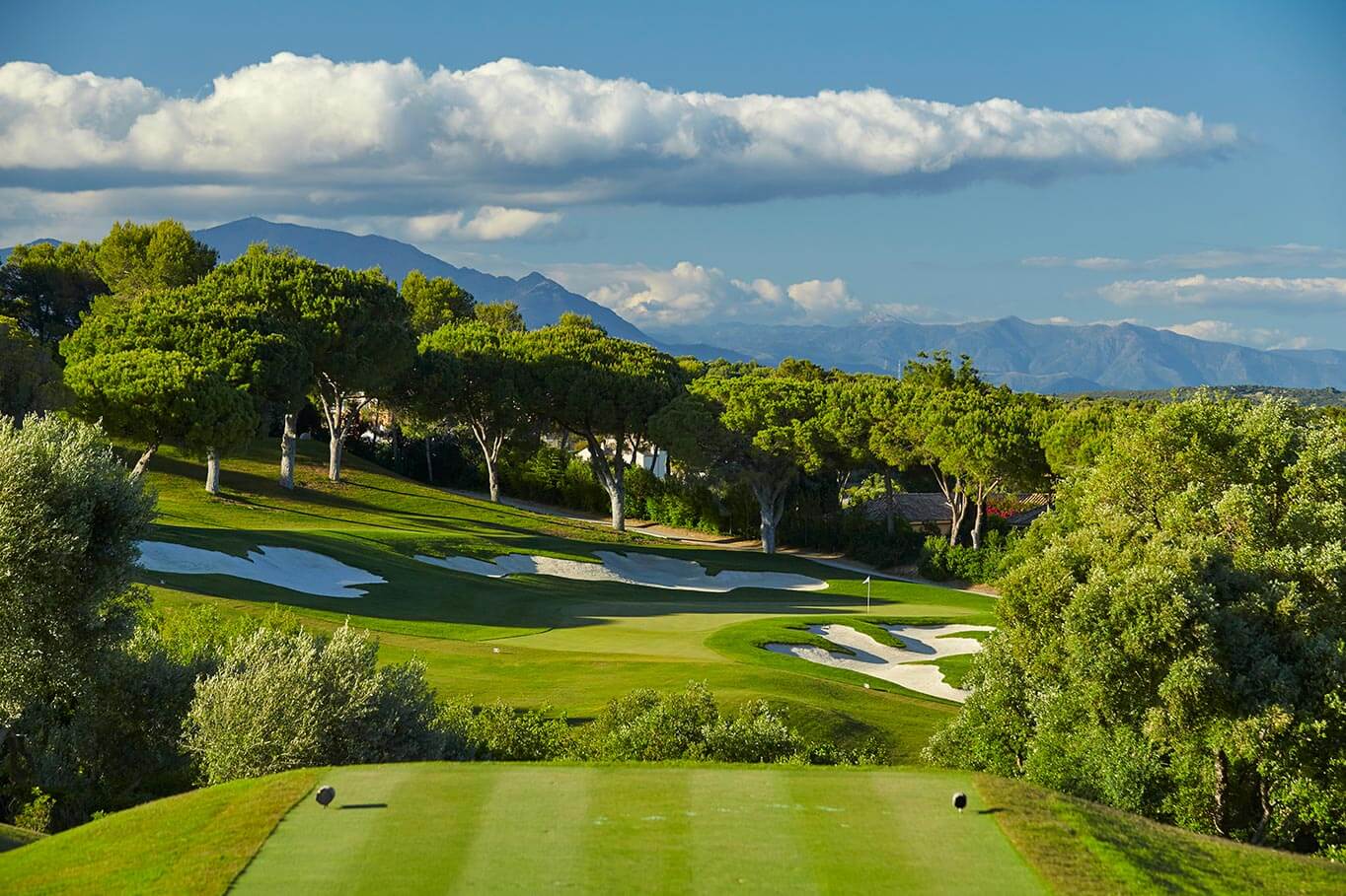 Big Five: Lo mejor de la Costa del Sol