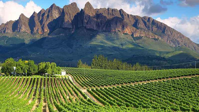 Full Day Winelands Tour