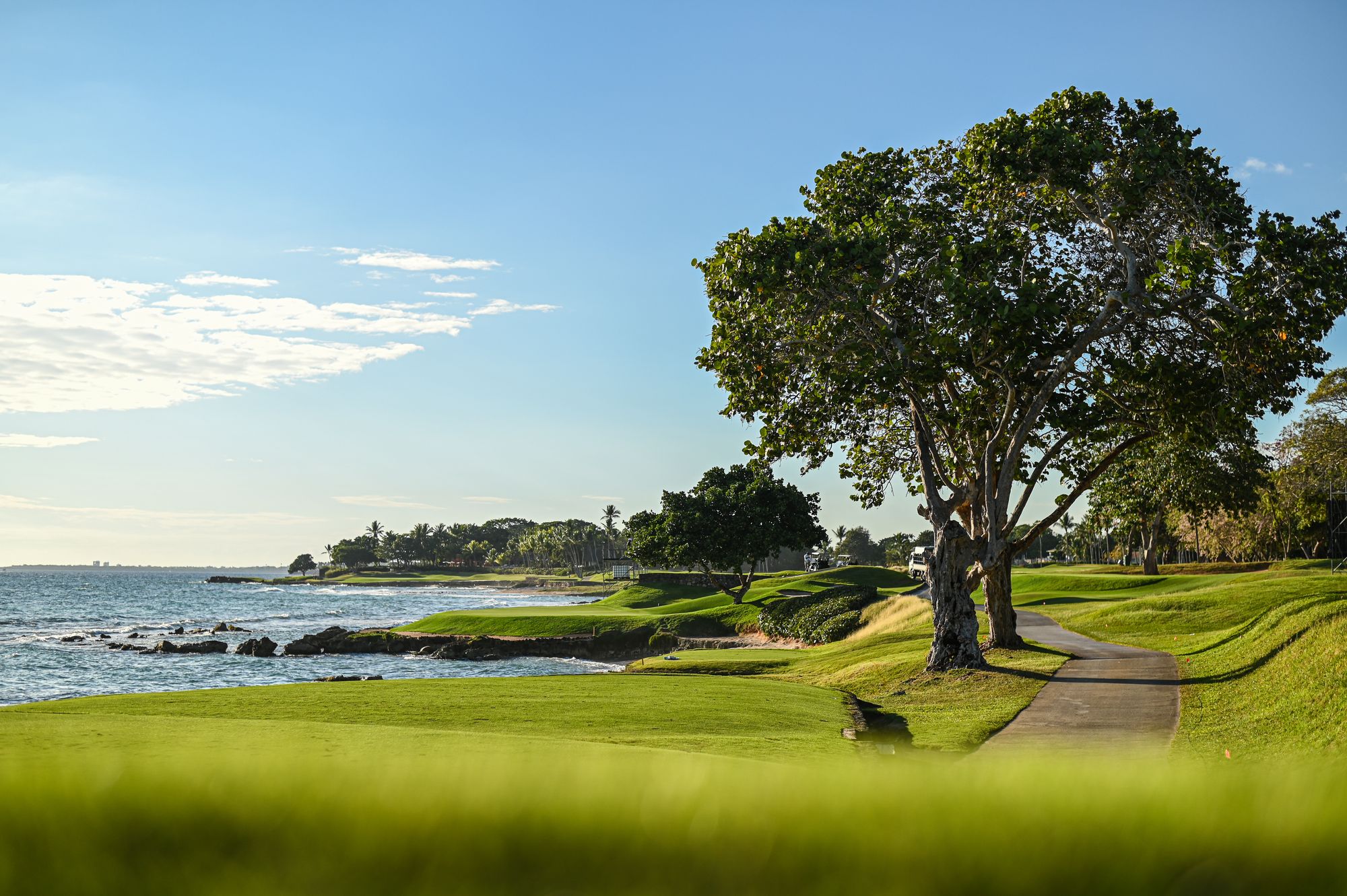 Fourball Américas Casa de Campo