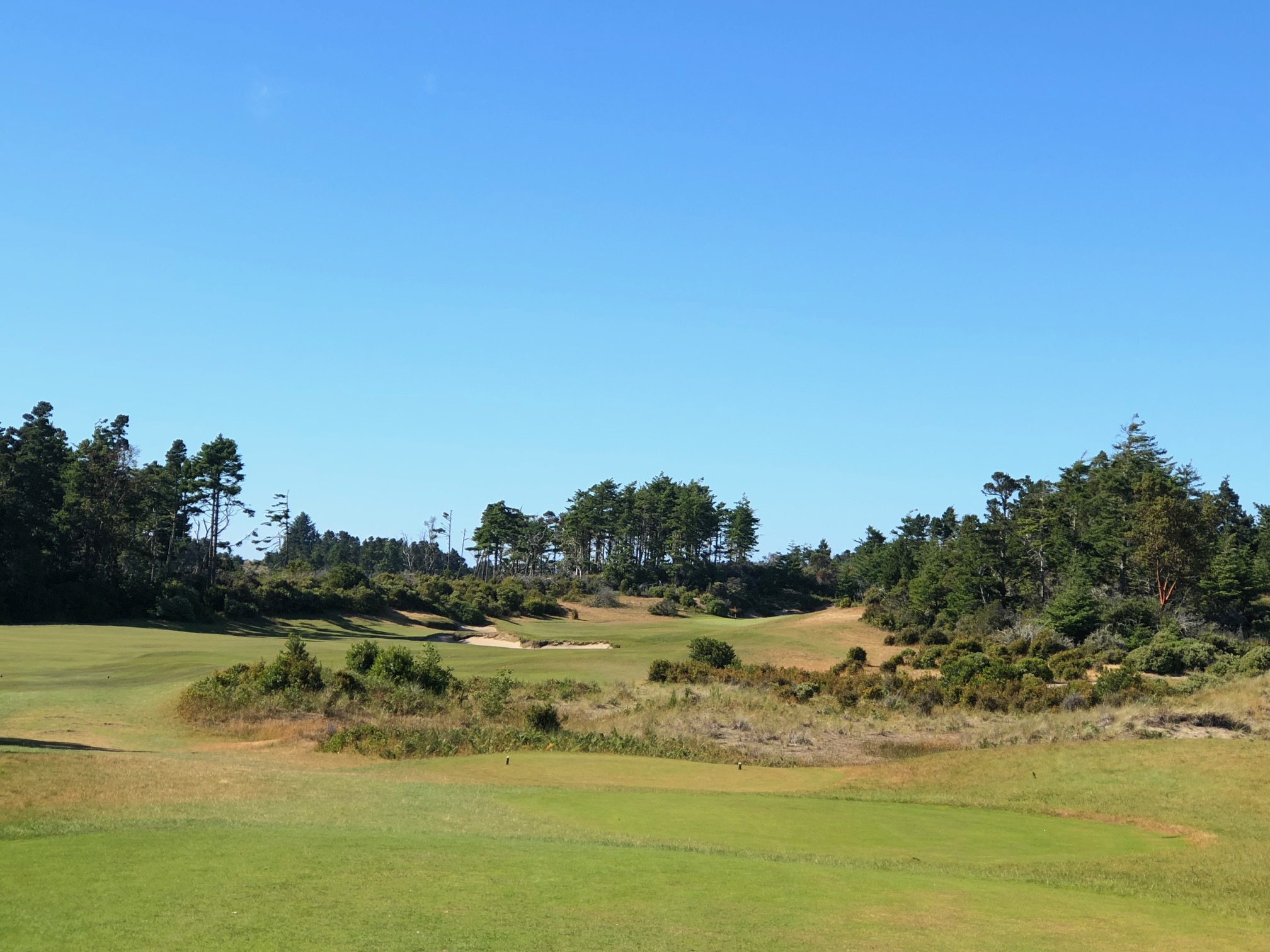 Bandon Trails