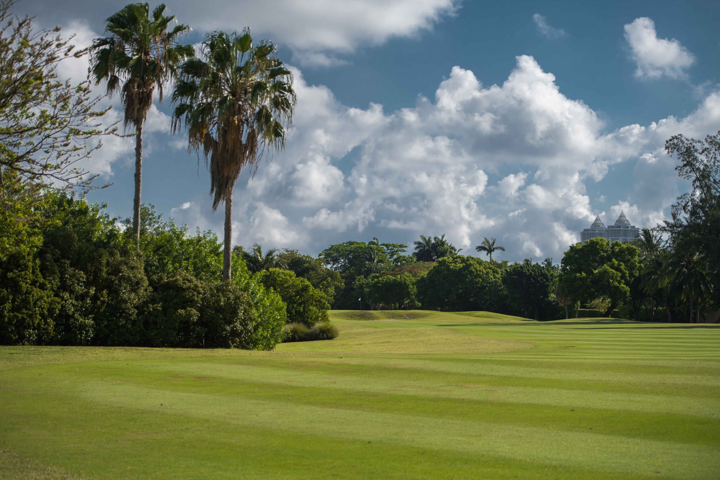 Miami Beach Golf Club