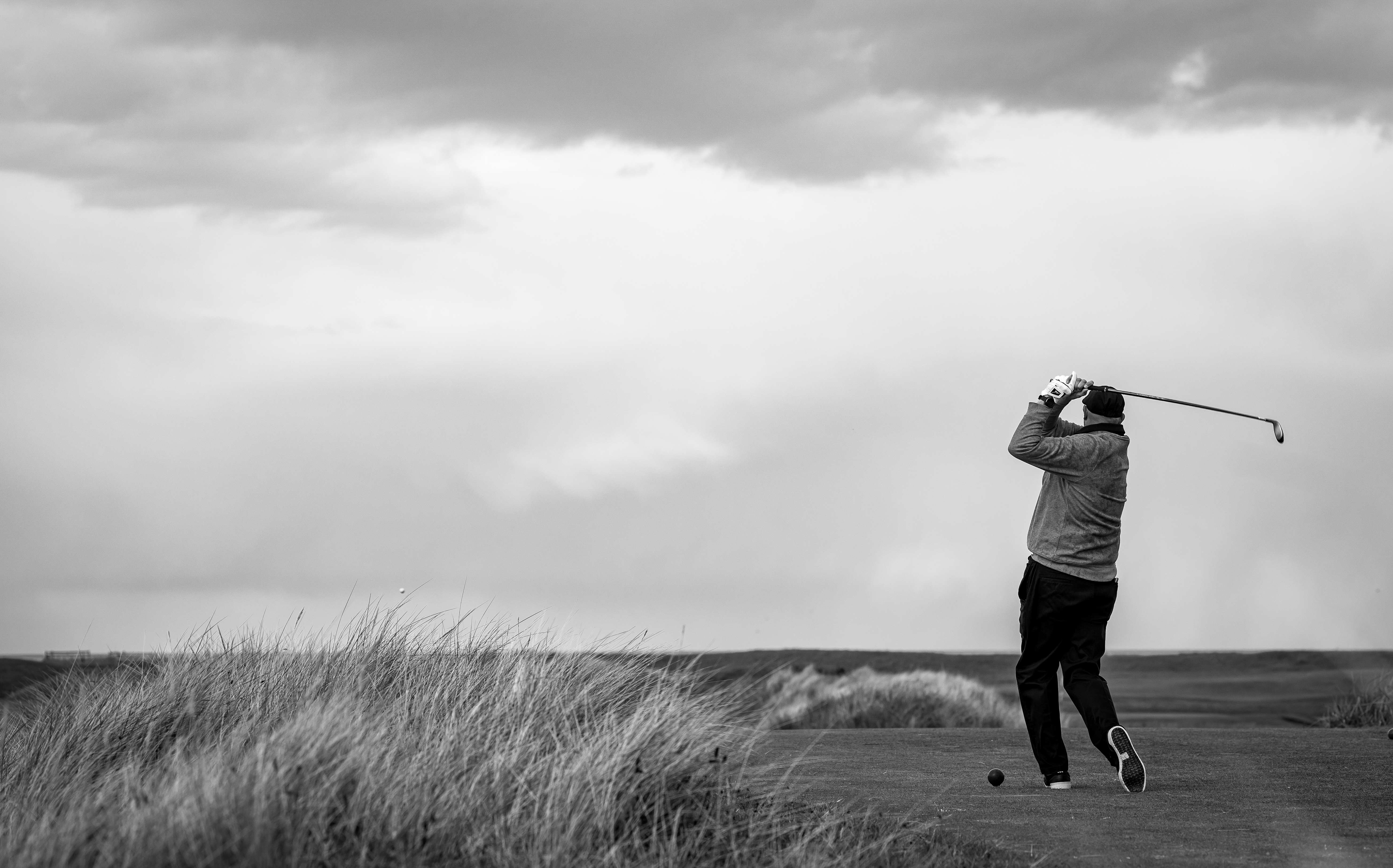 Professional Photographer