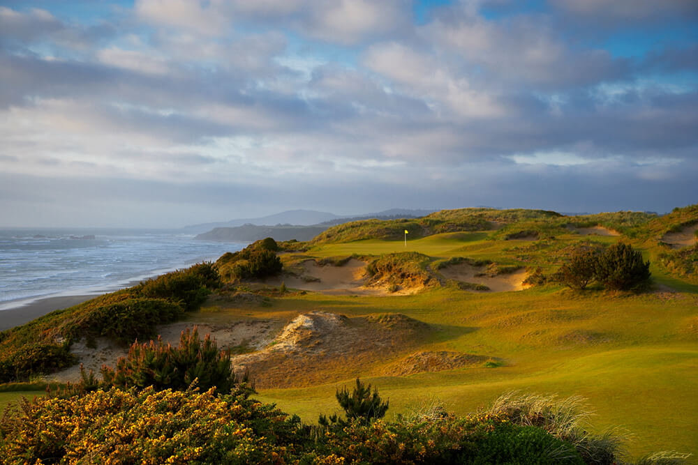 Pacific Dunes