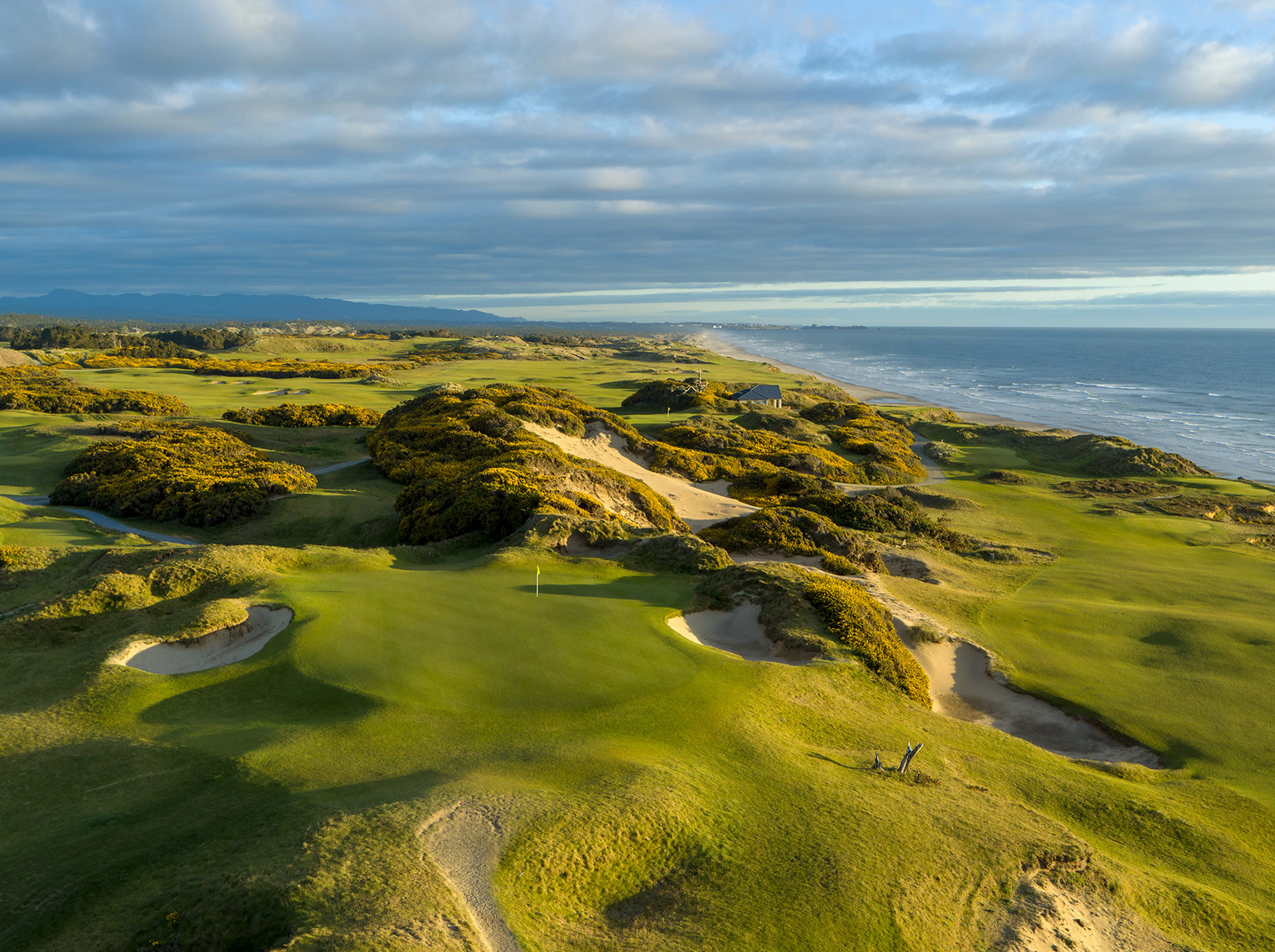 Pacific Dunes