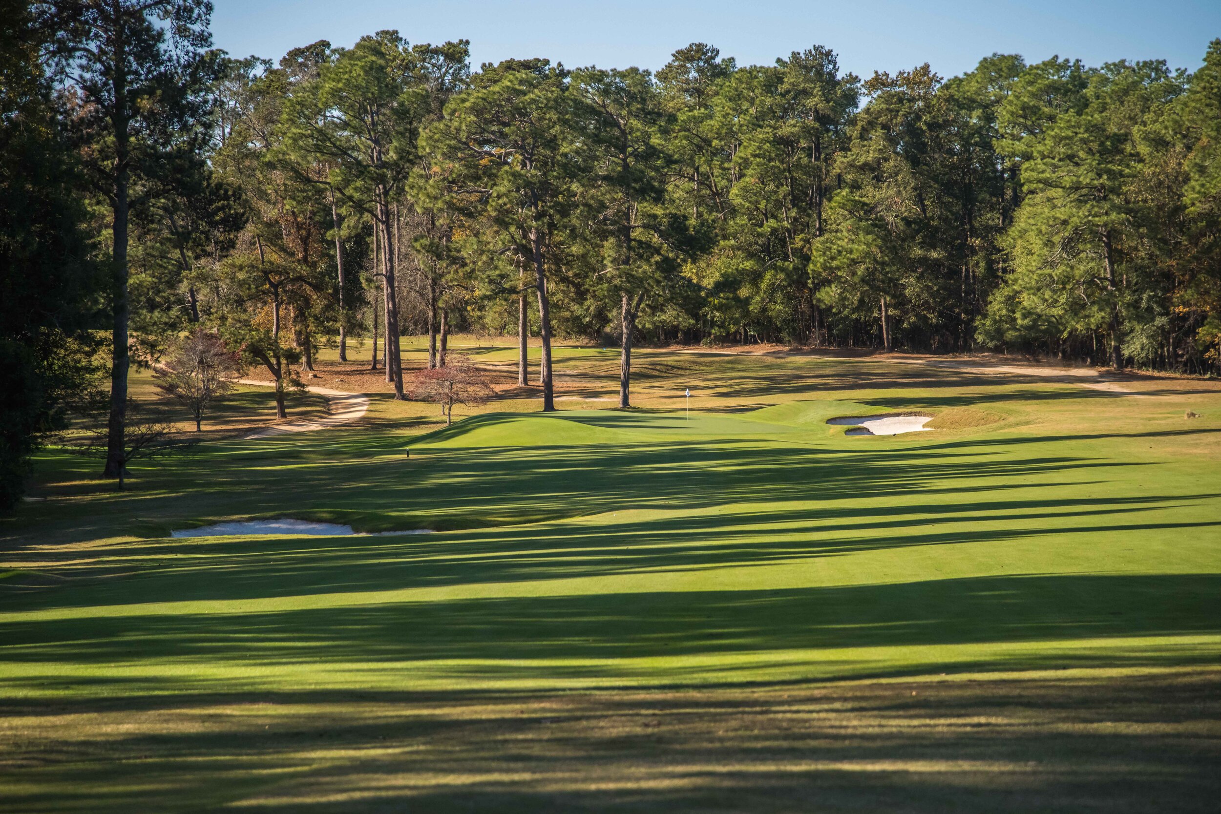 Palmetto Golf Club
